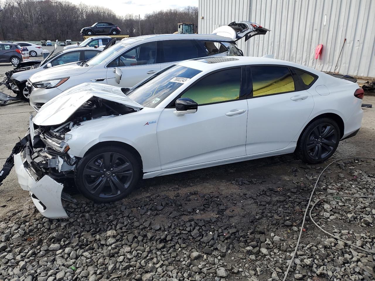 ACURA TLX 2023 19uub6f59pa002675