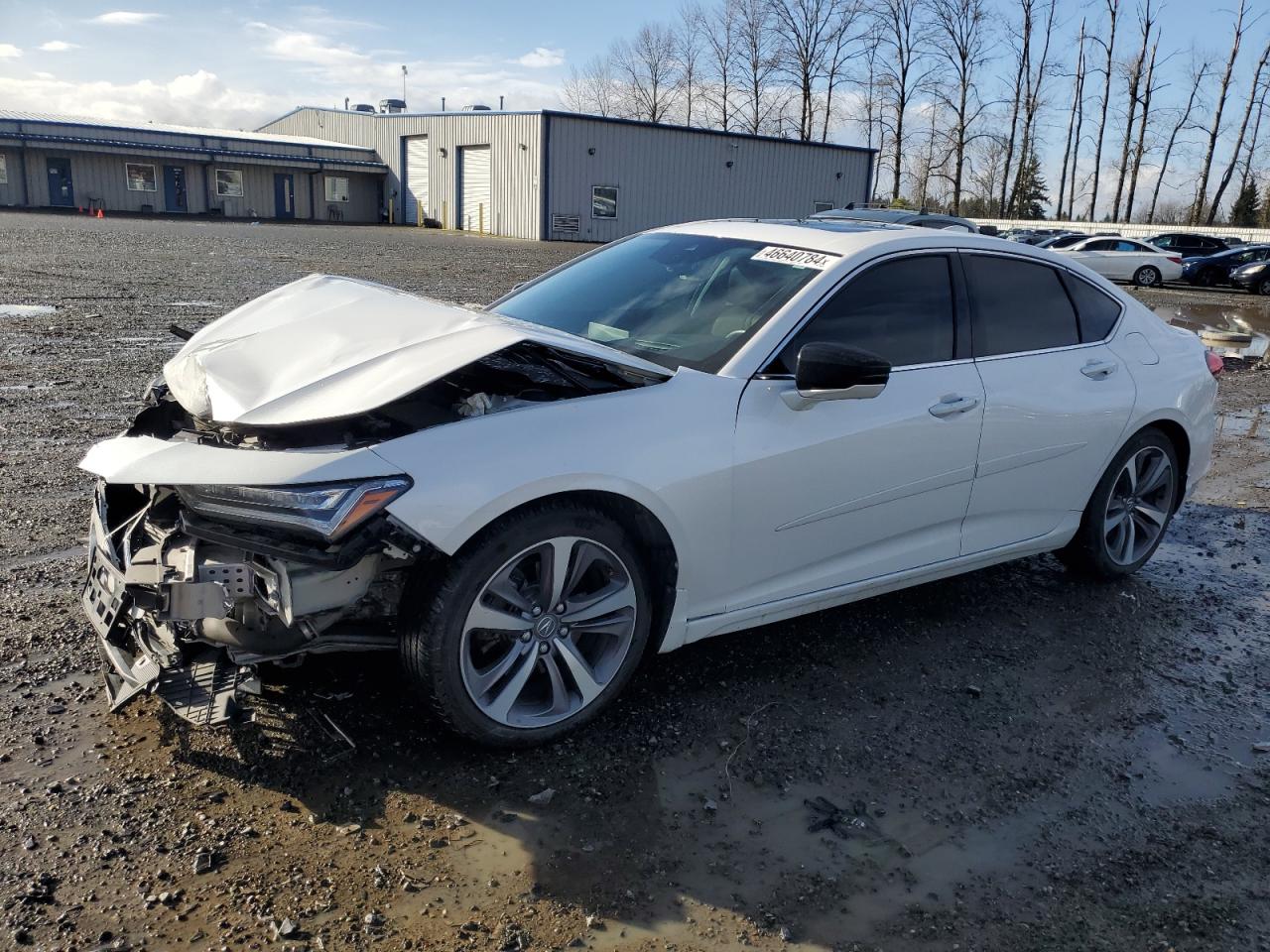 ACURA TLX 2021 19uub6f63ma000196