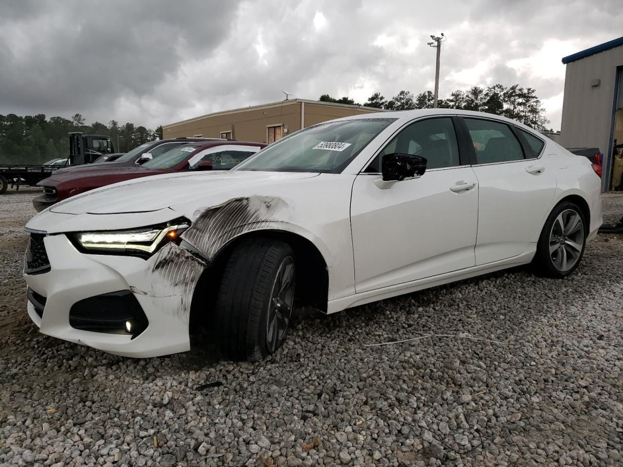 ACURA TLX 2023 19uub6f65pa002990