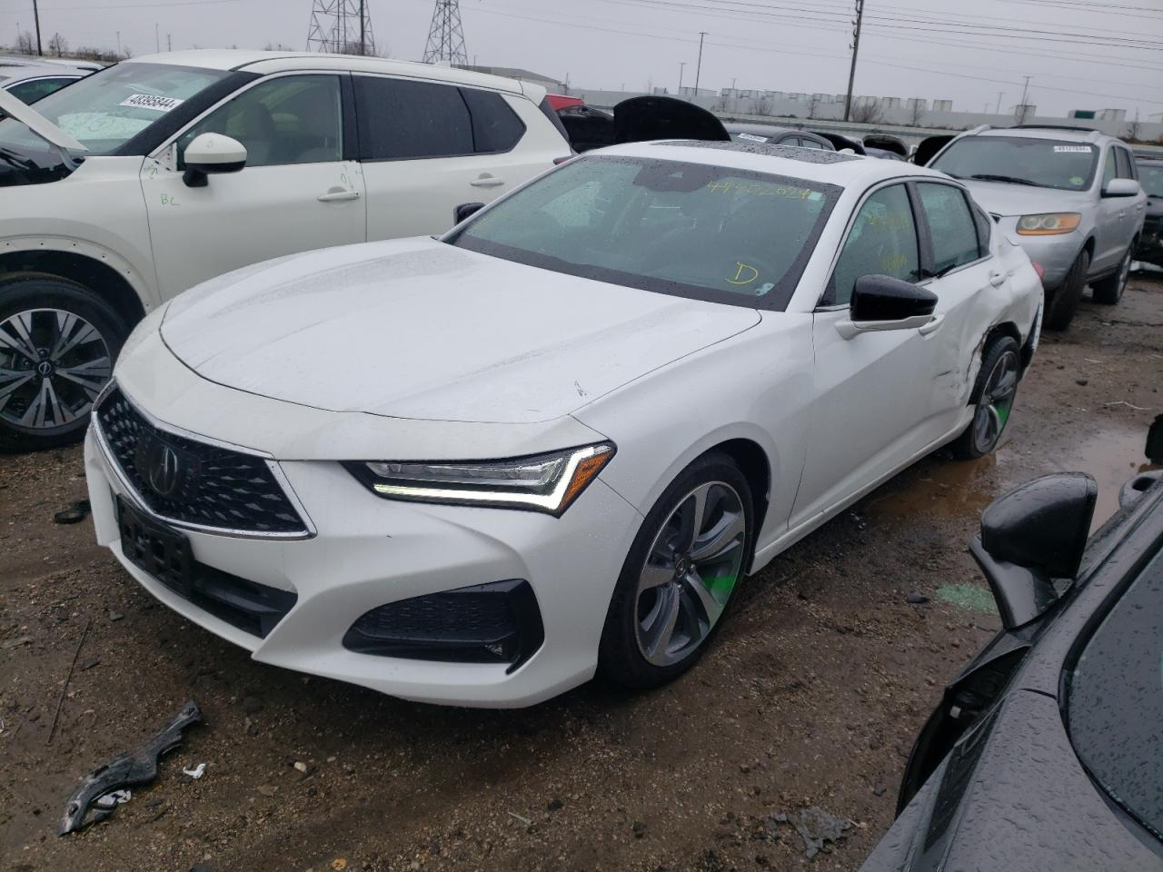 ACURA TLX 2023 19uub6f66pa002920