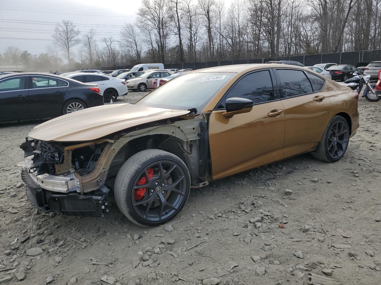 ACURA TLX 2021 19uub7f03ma000829