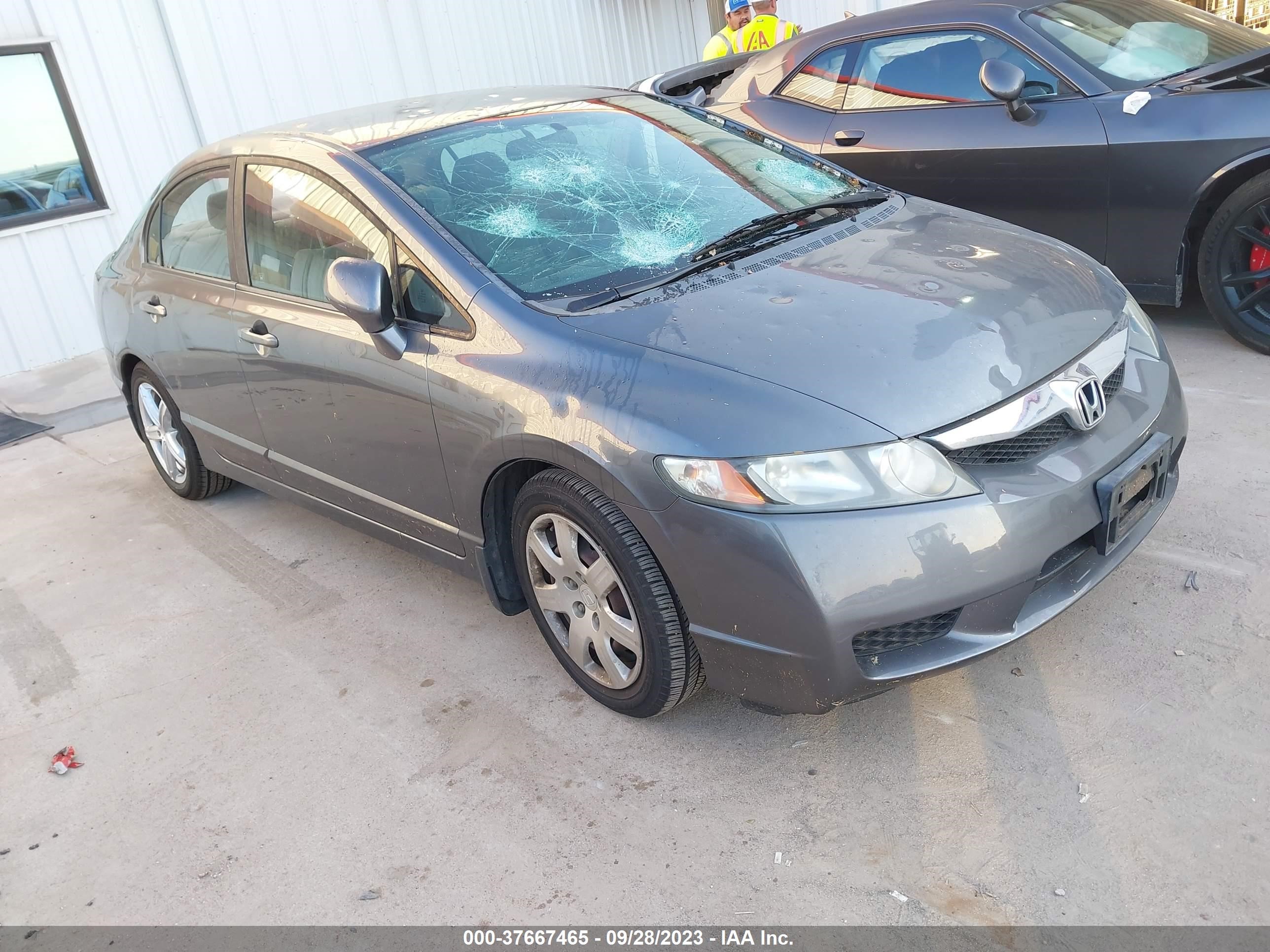 HONDA CIVIC 2009 19xfa165x9e039036