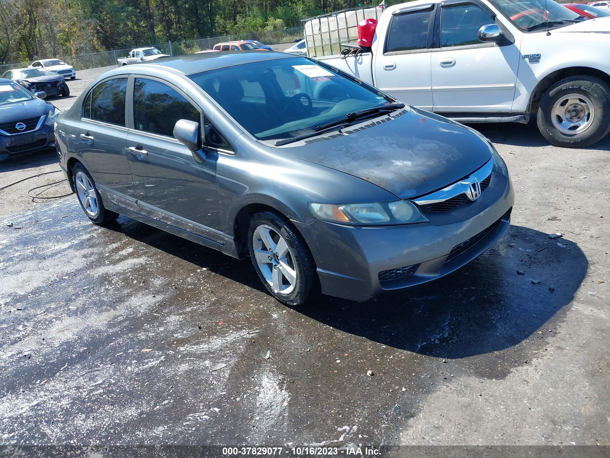 HONDA CIVIC 2009 19xfa16609e013649