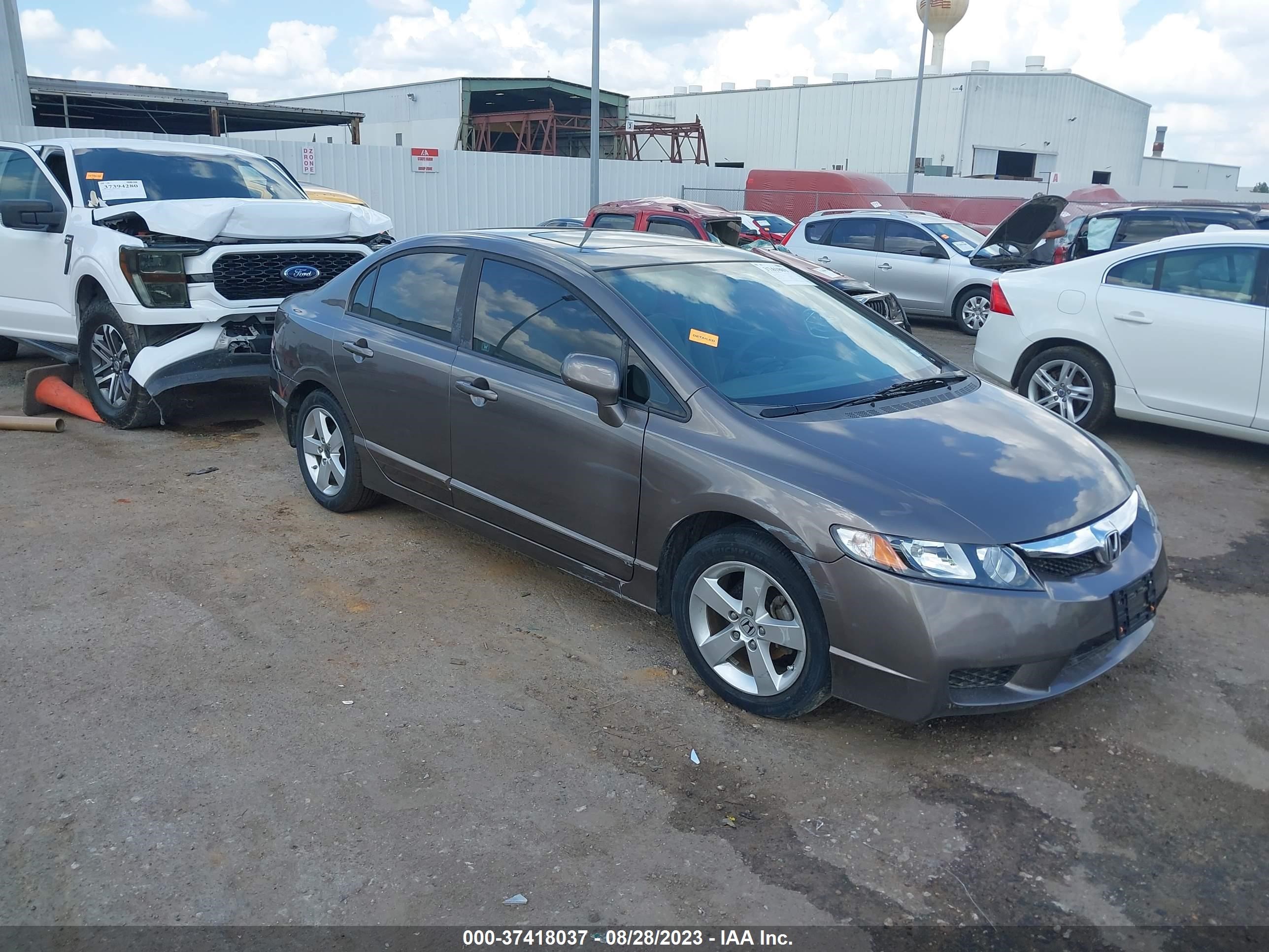 HONDA CIVIC 2009 19xfa16829e035847