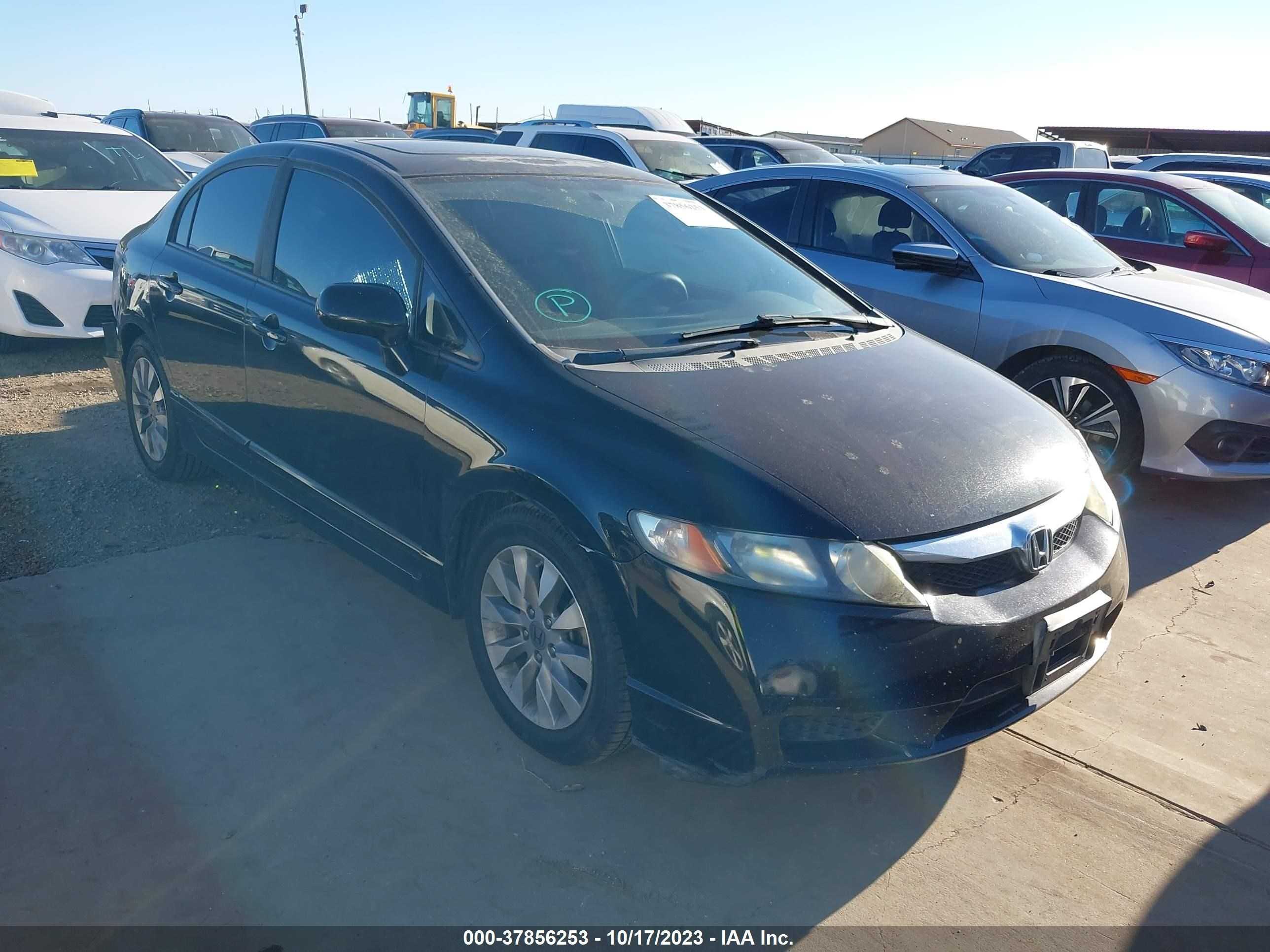 HONDA CIVIC 2009 19xfa16879e050179