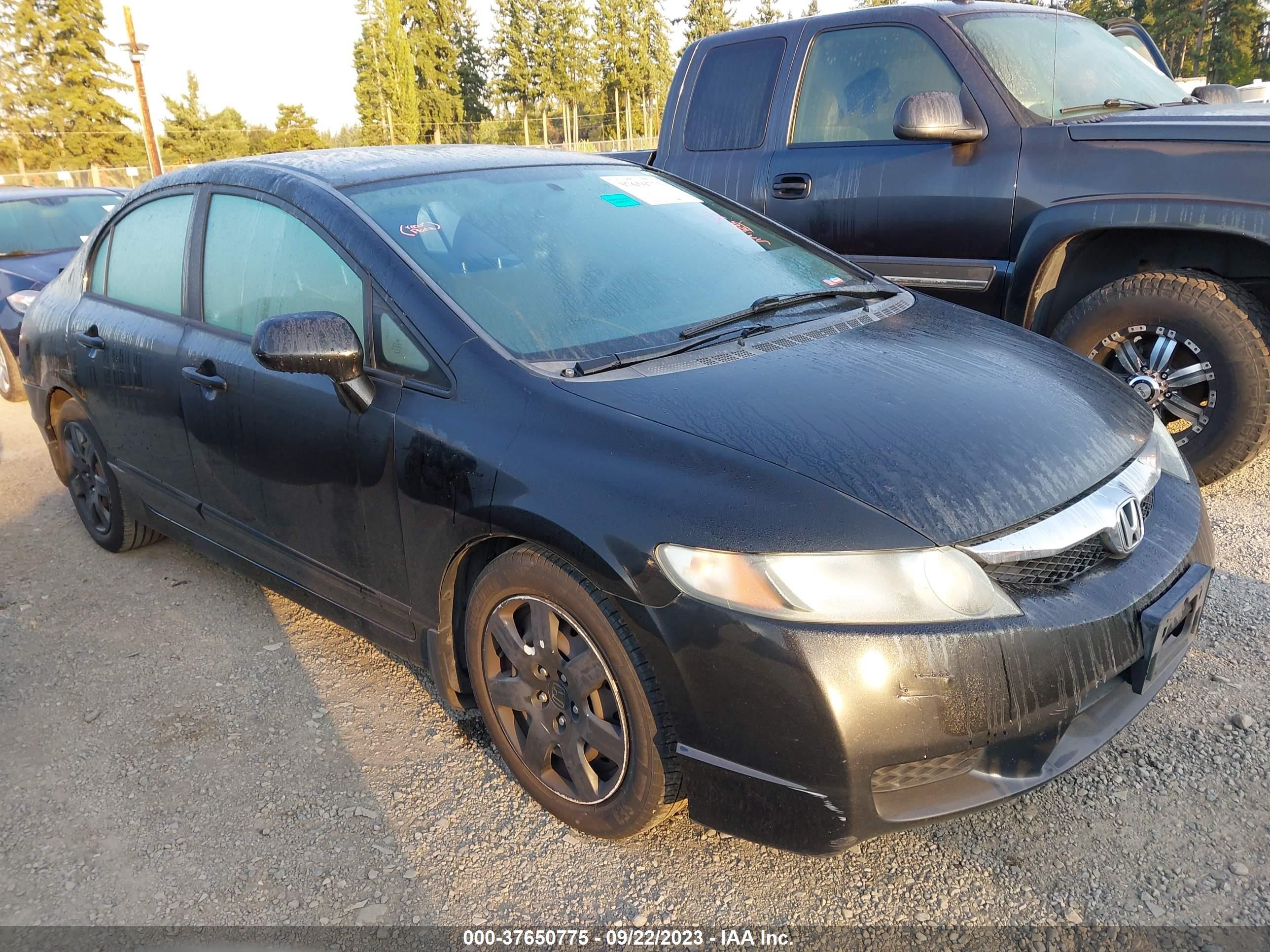 HONDA CIVIC 2010 19xfa1f55ae037991