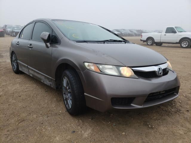 HONDA CIVIC LX 2010 19xfa1f5xae076964