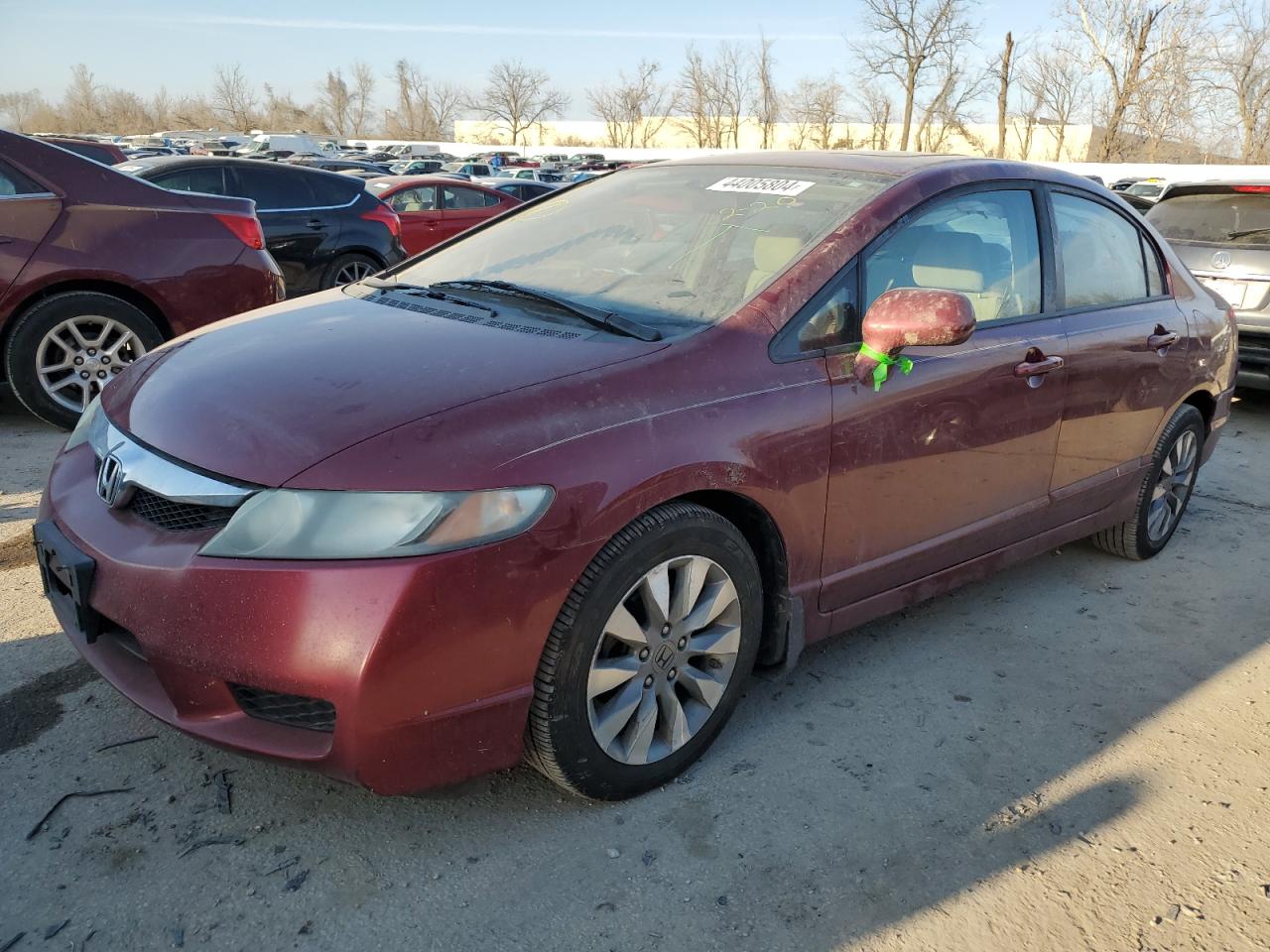 HONDA CIVIC 2010 19xfa1f8xae030464