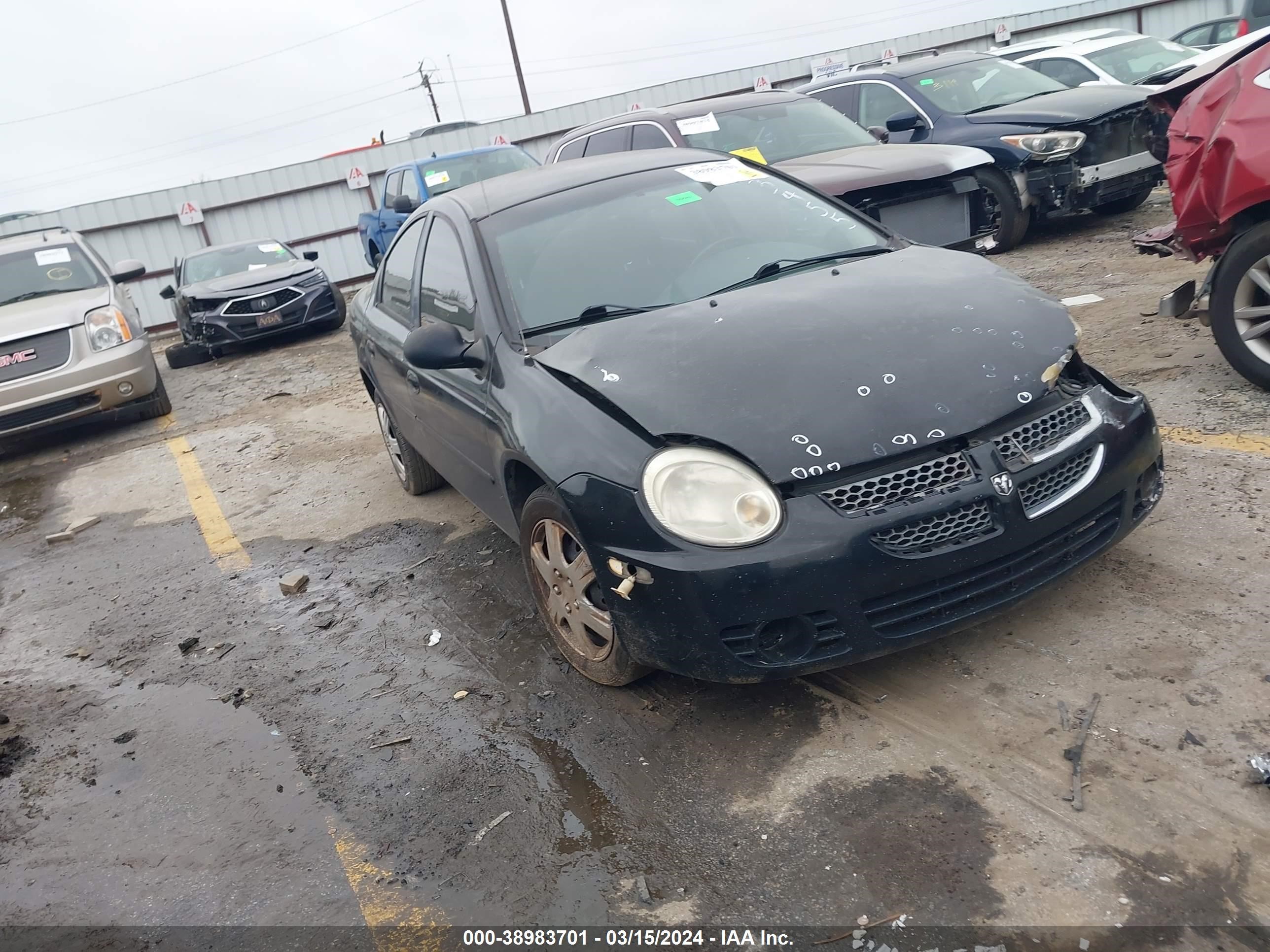 DODGE NEON 2002 1b3as46c72d523455