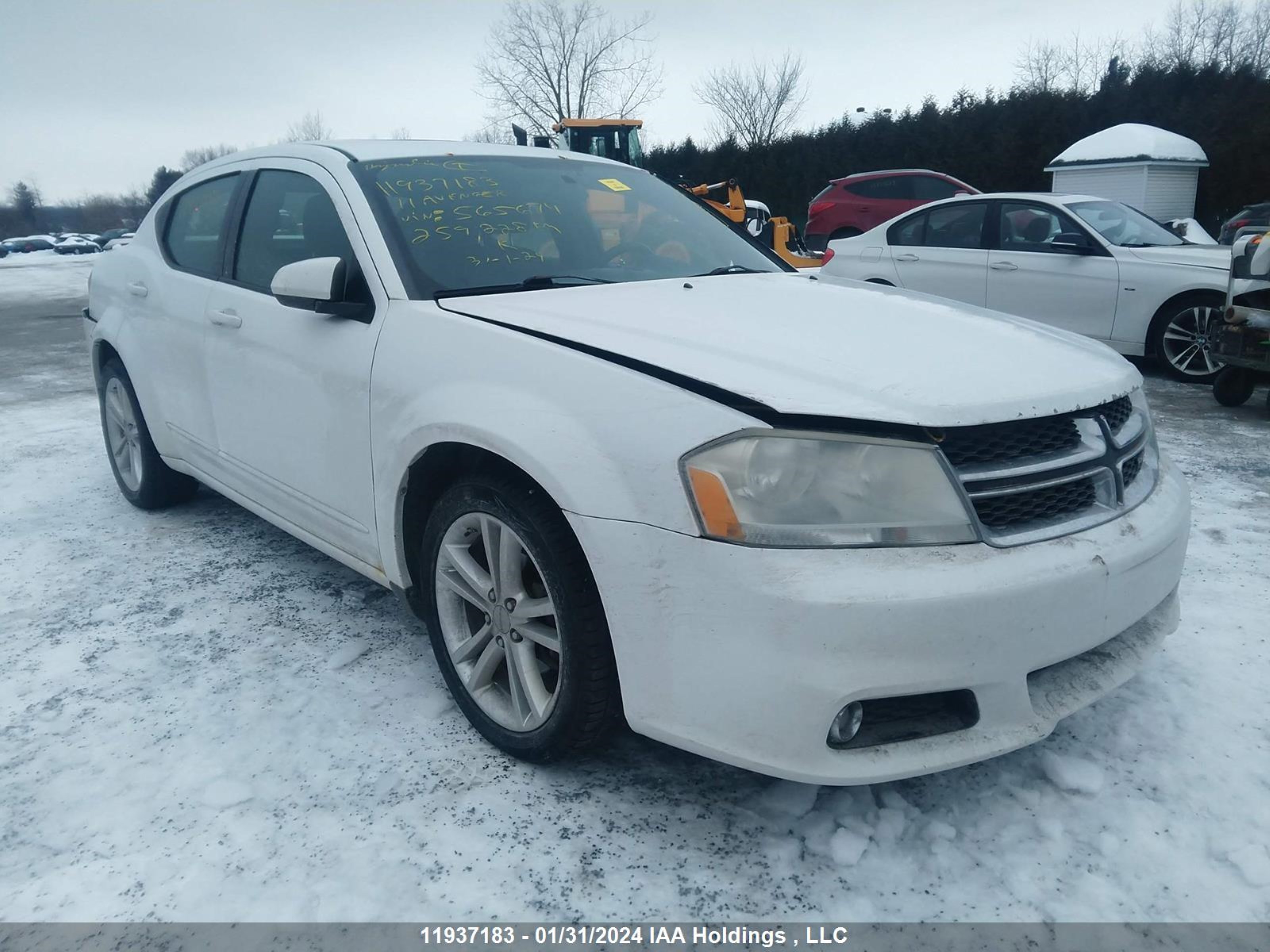 DODGE AVENGER 2011 1b3bd1fb0bn565674