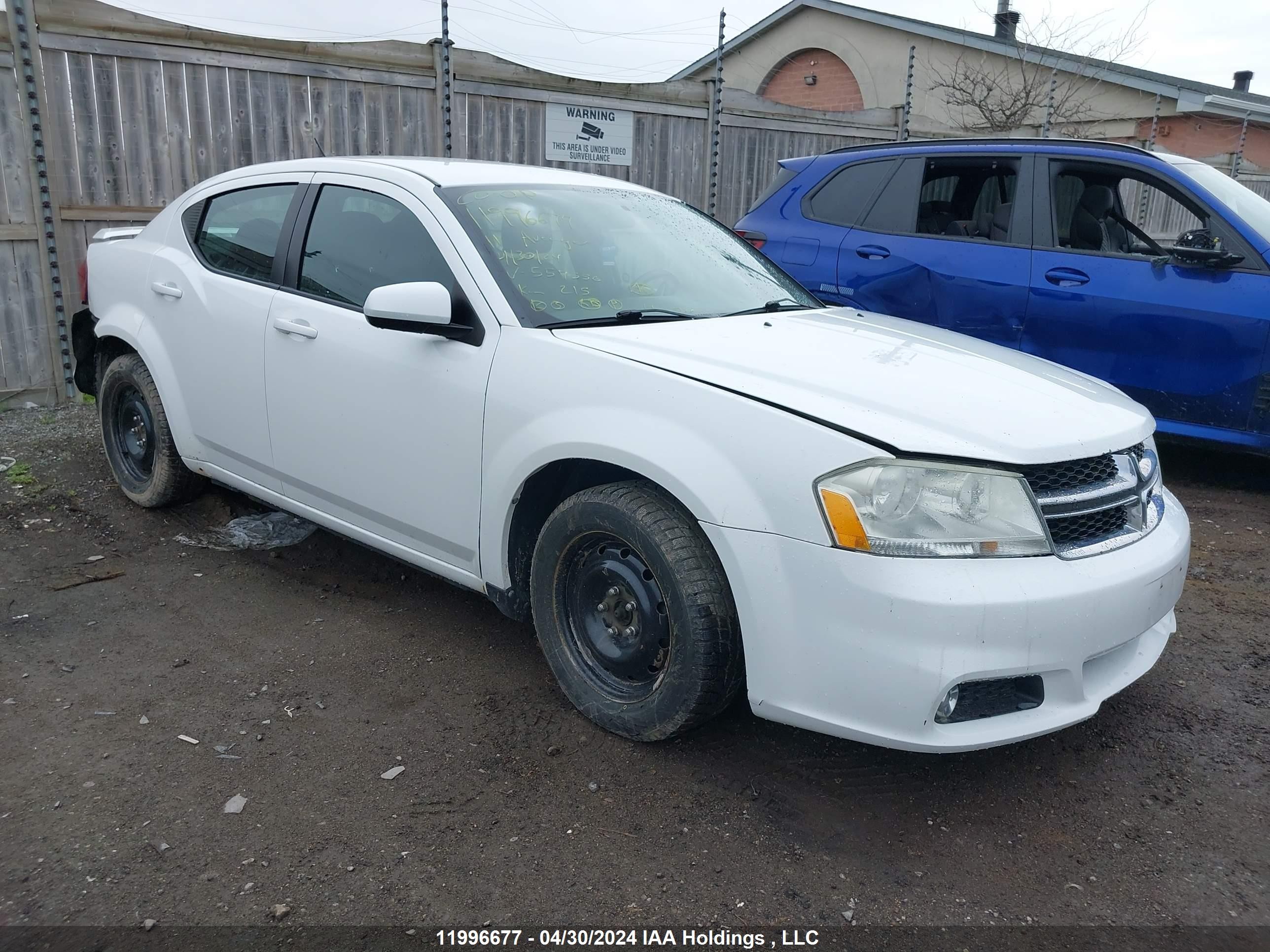 DODGE AVENGER 2011 1b3bd1fb9bn557556