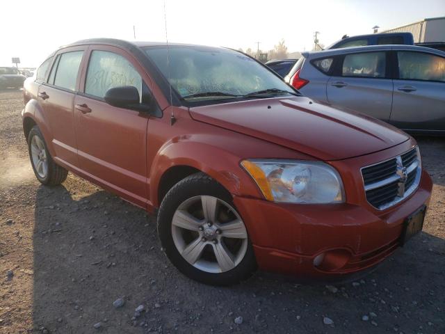 DODGE CALIBER MA 2010 1b3cb3haxad566734