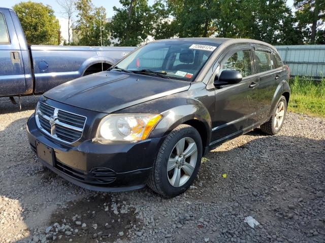 DODGE CALIBER SX 2010 1b3cb4ha9ad651084