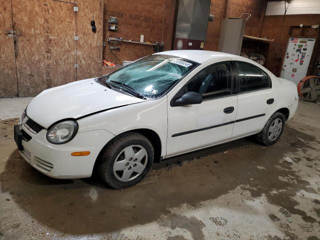 DODGE NEON 2004 1b3es26c54d626947