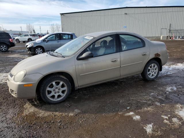 DODGE NEON 2003 1b3es46c33d180596