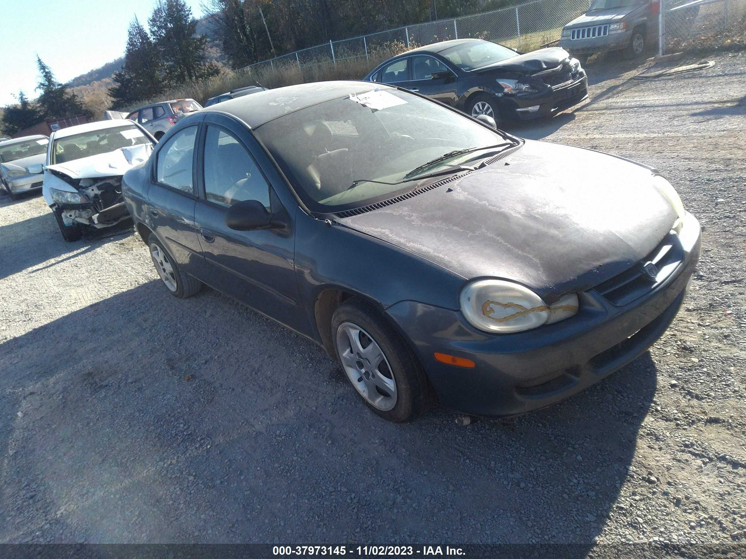 DODGE NEON 2002 1b3es46cx2d511317