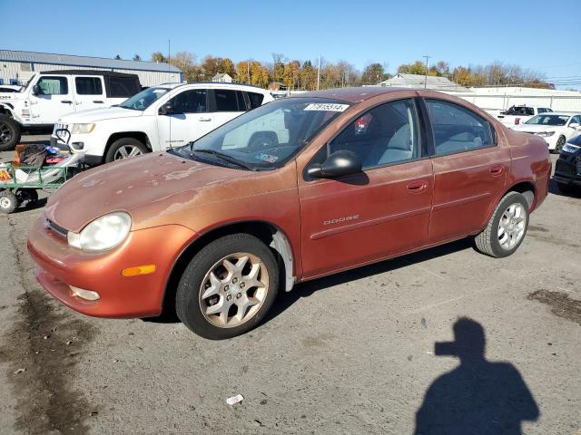 DODGE NEON 2000 1b3es46cxyd687325