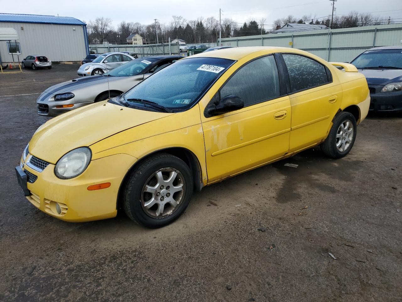 DODGE NEON 2003 1b3es56c03d101312