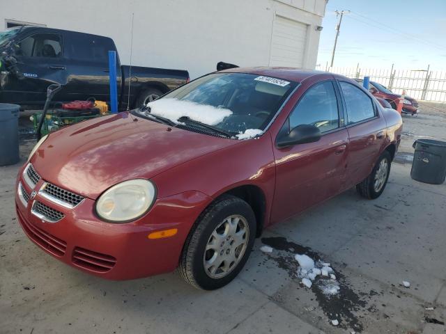 DODGE NEON SXT 2005 1b3es56c05d128545