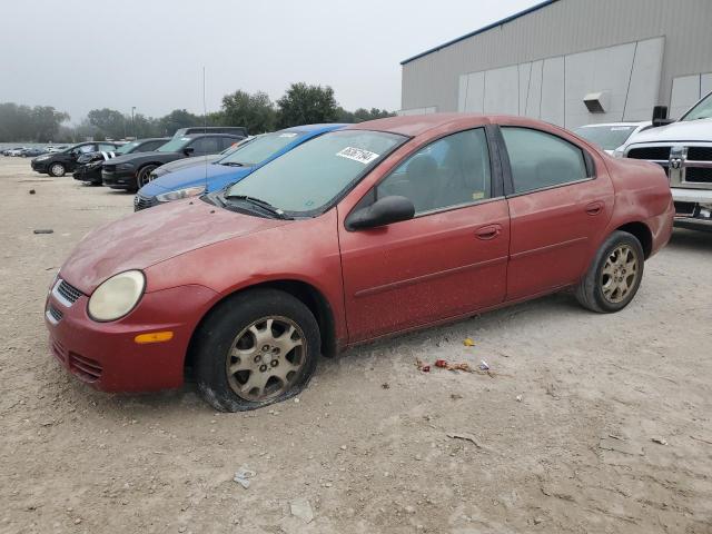 DODGE NEON SXT 2005 1b3es56c05d147256