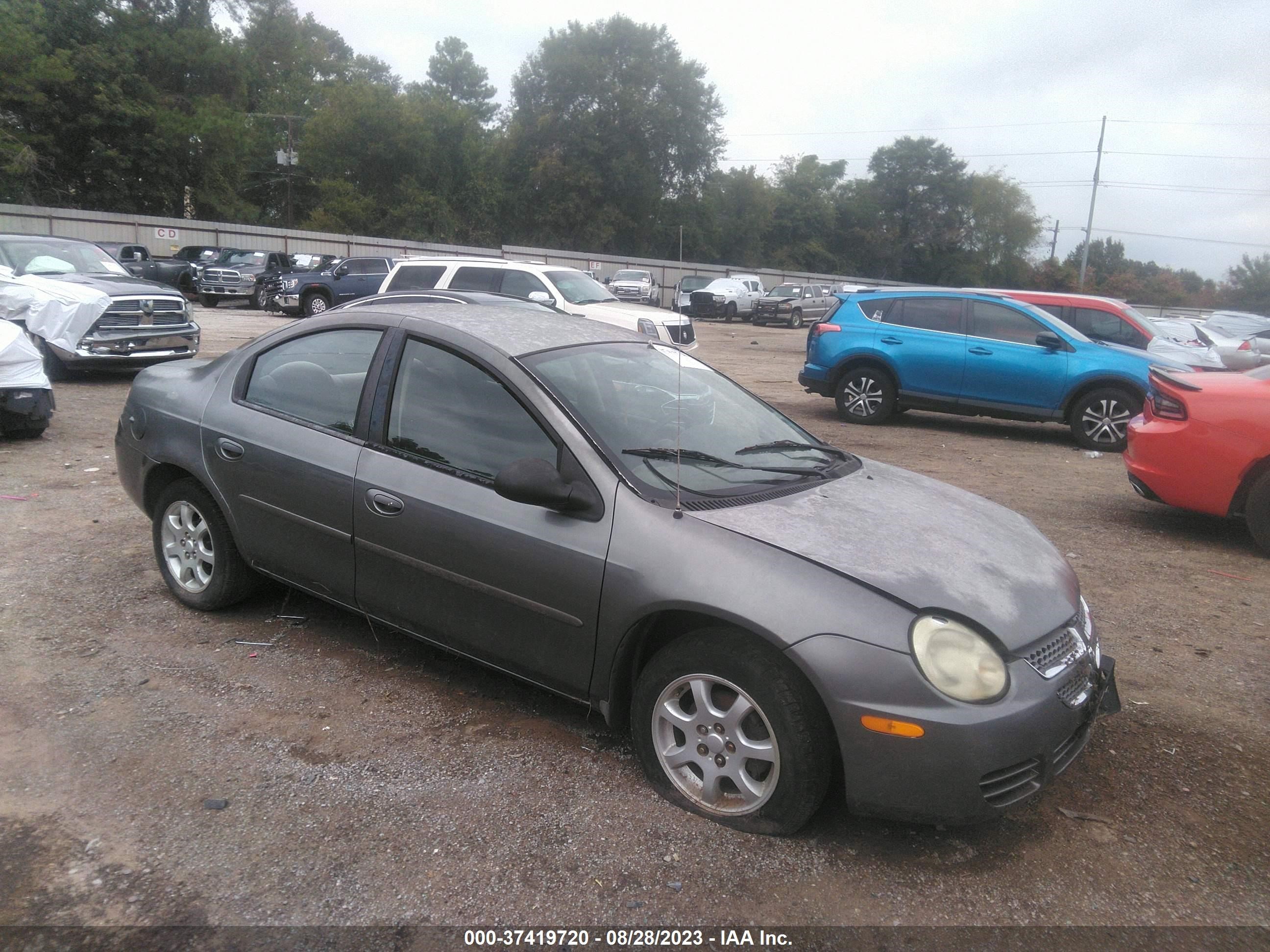 DODGE NEON 2005 1b3es56c05d205463