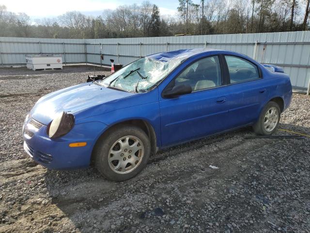 DODGE NEON 2005 1b3es56c05d241007