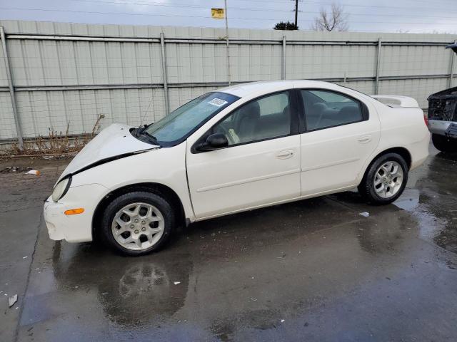 DODGE NEON 2002 1b3es56c12d655313