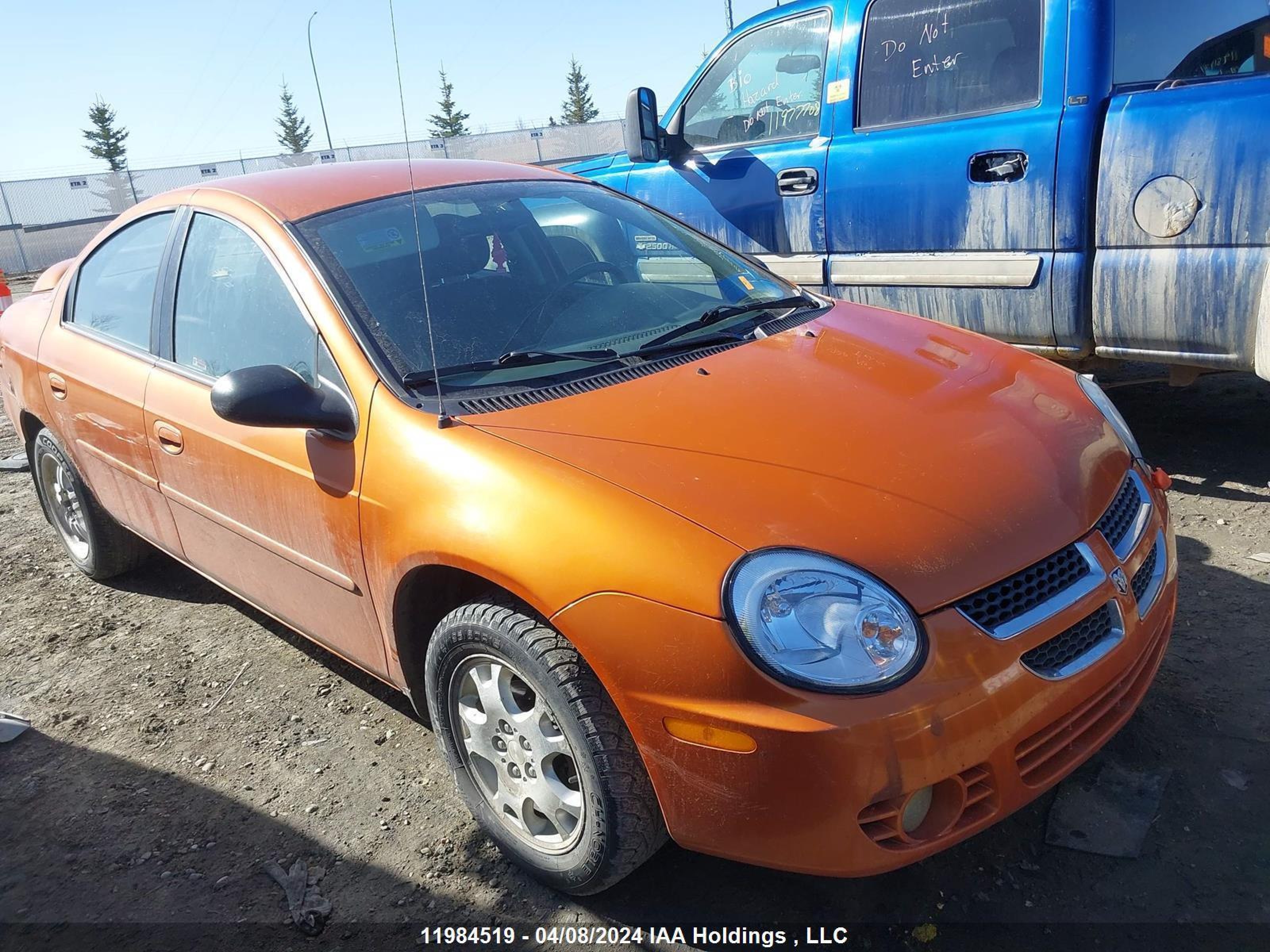 DODGE NEON 2005 1b3es56c15d223017