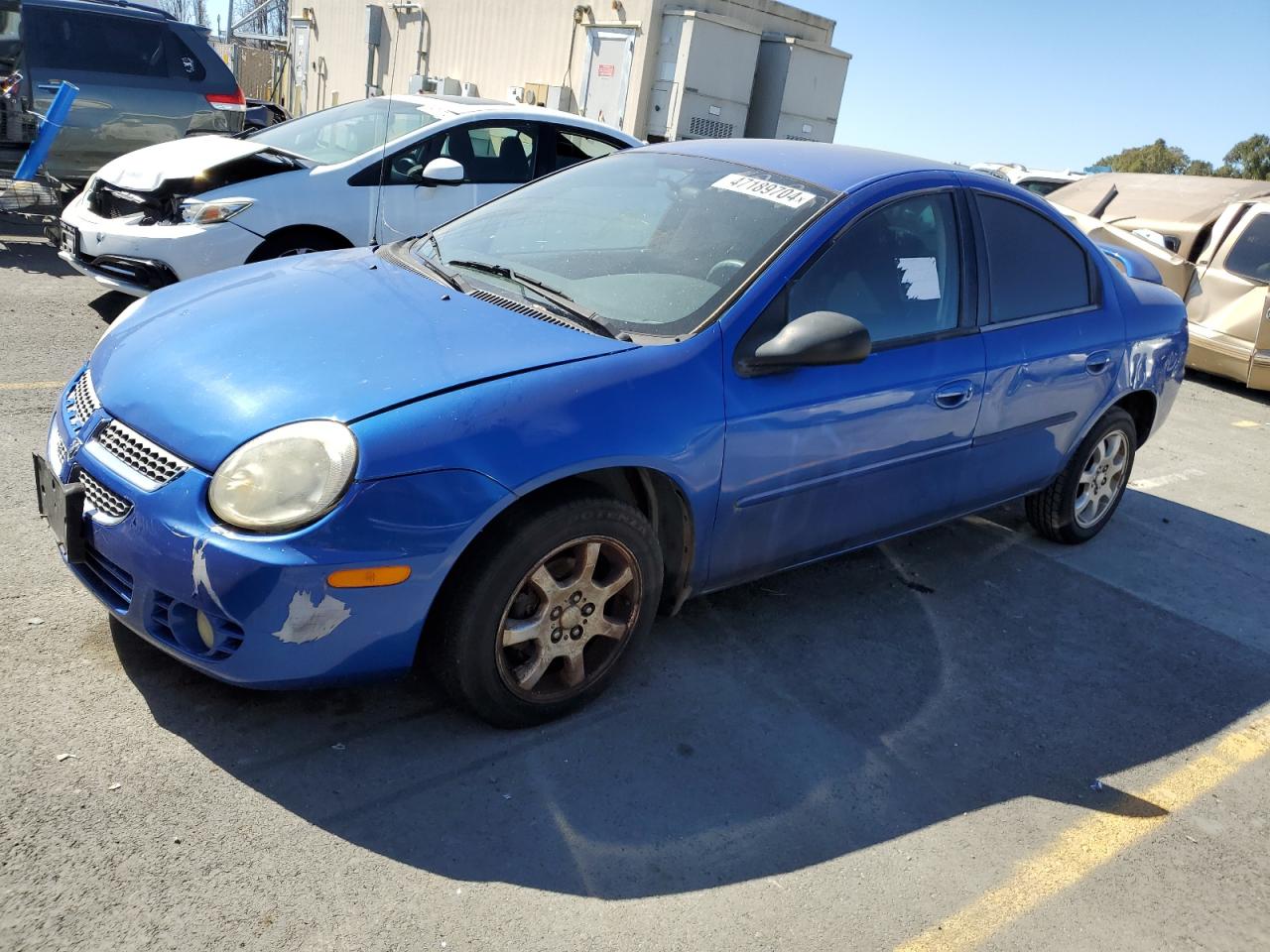 DODGE NEON 2005 1b3es56c25d104652