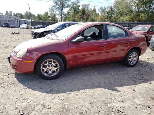 DODGE NEON SXT 2004 1b3es56c34d603720