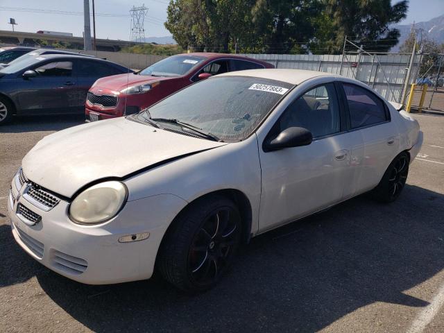 DODGE NEON 2005 1b3es56c35d222595