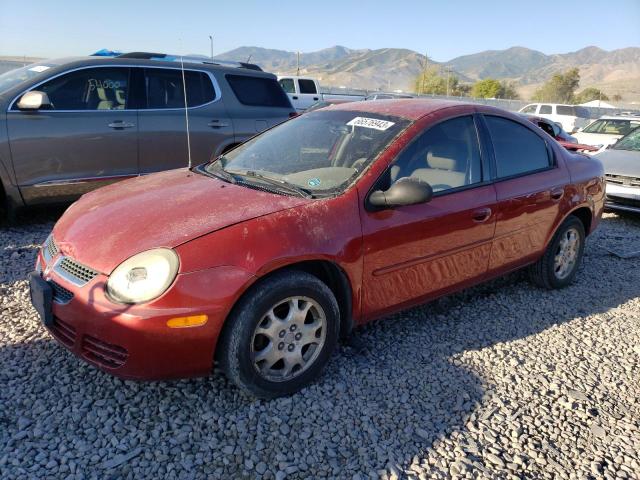 DODGE NEON SXT 2003 1b3es56c43d245543