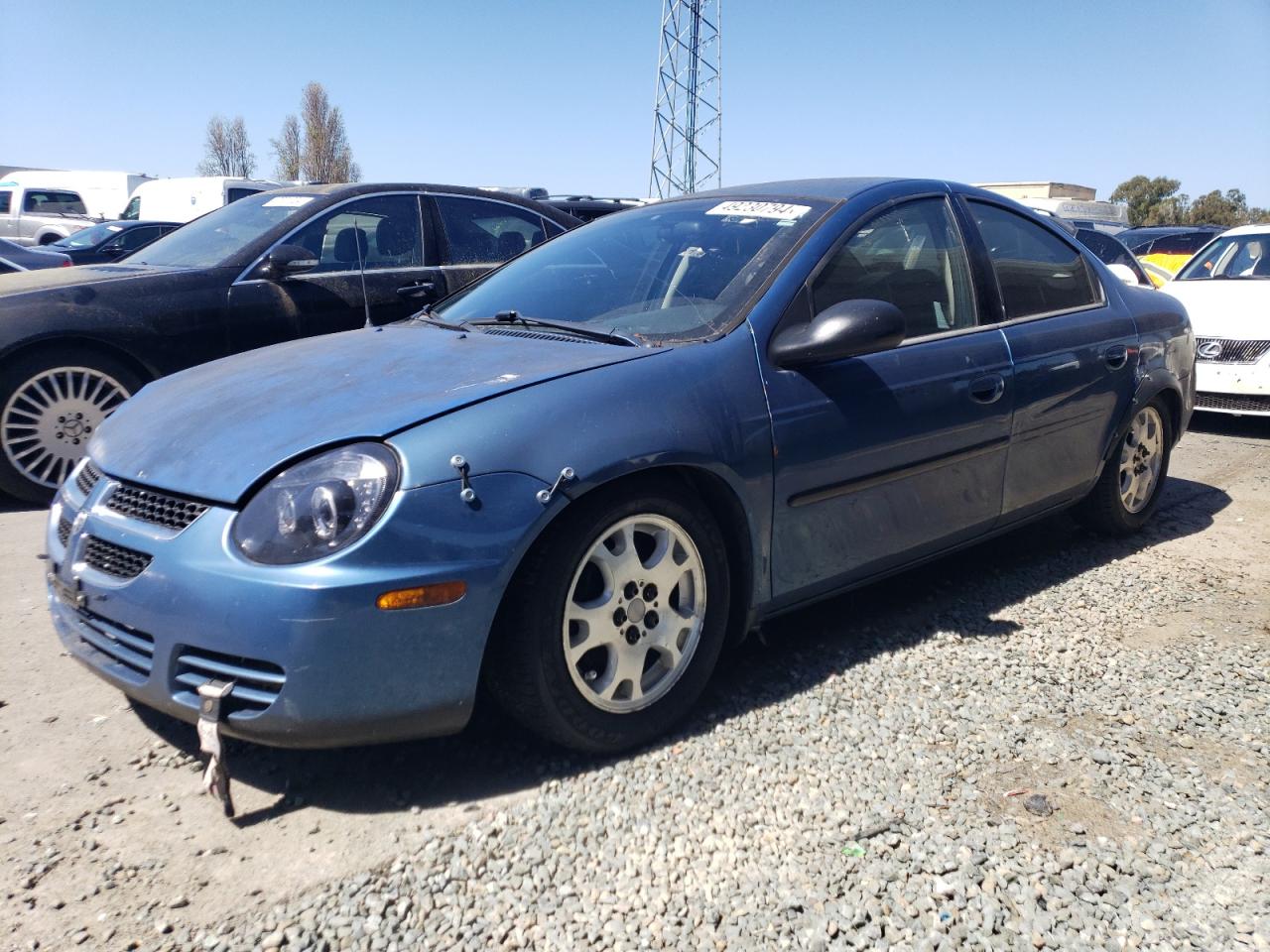 DODGE NEON 2004 1b3es56c44d549344