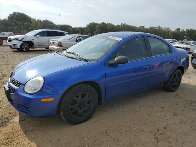 DODGE NEON 2005 1b3es56c45d134137