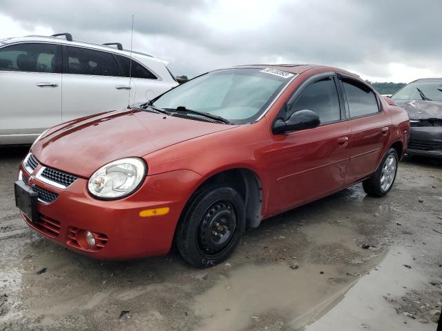 DODGE NEON SXT 2003 1b3es56c53d114041