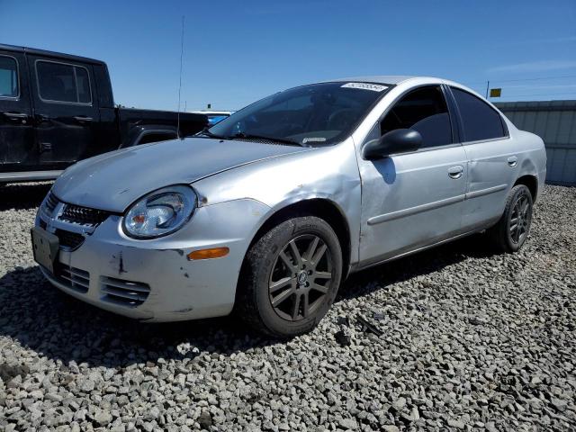 DODGE NEON 2005 1b3es56c55d124331