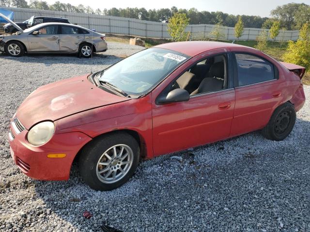 DODGE NEON SXT 2005 1b3es56c55d146944