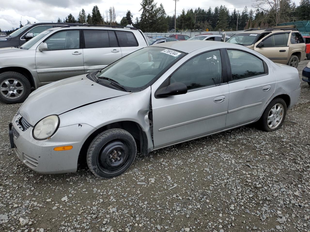 DODGE NEON 2005 1b3es56c55d285763