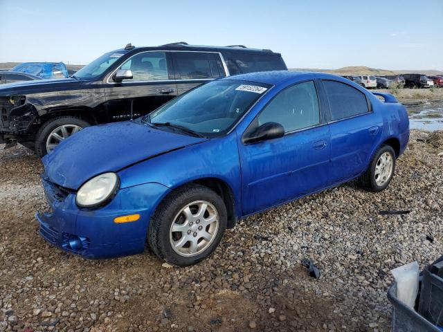 DODGE NEON 2004 1b3es56c64d569031