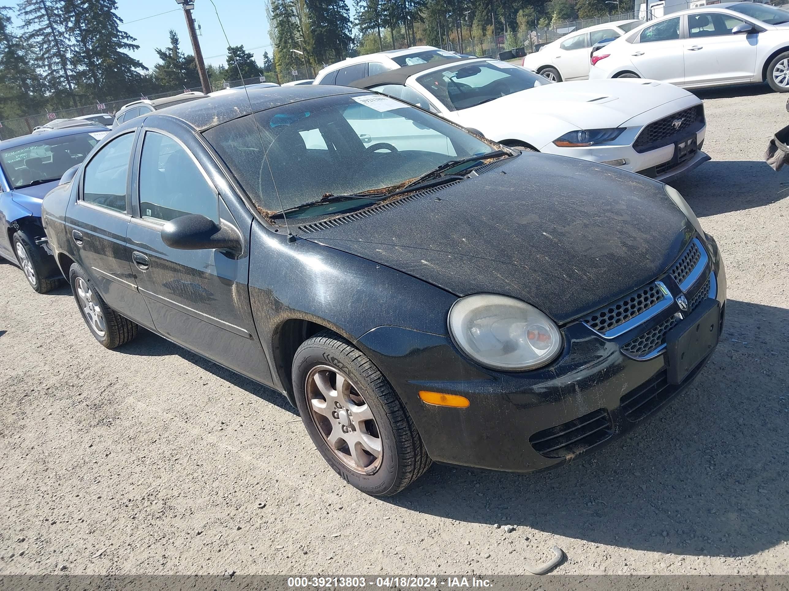 DODGE NEON 2005 1b3es56c65d243876