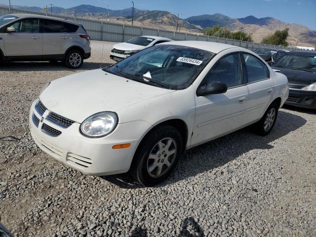 DODGE NEON 2005 1b3es56c75d159176