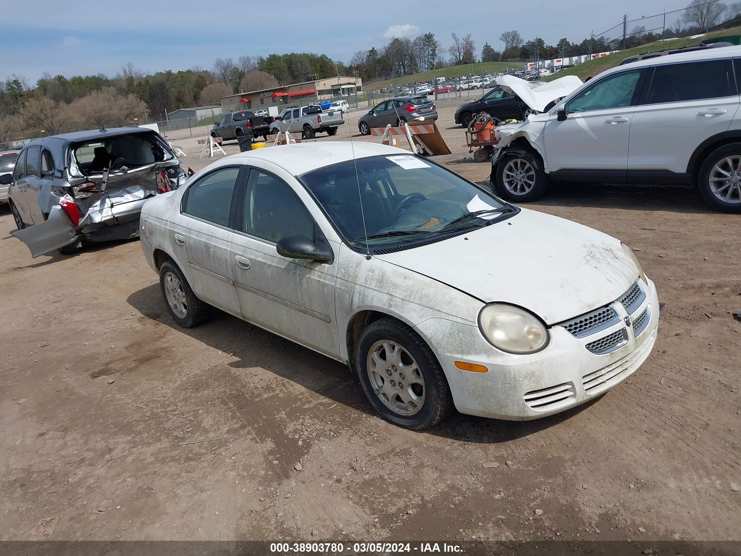 DODGE NEON 2005 1b3es56c75d241456