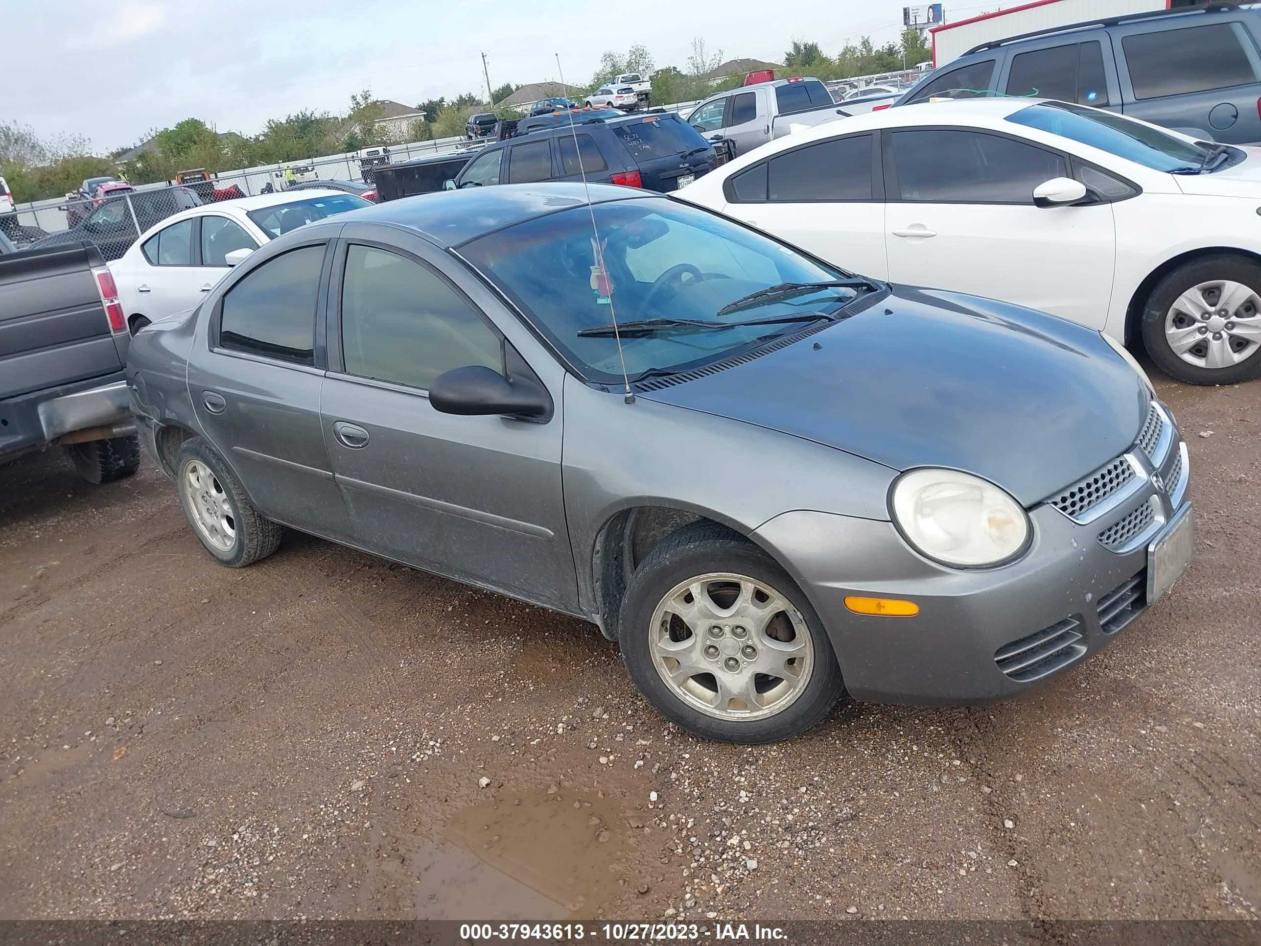 DODGE NEON 2005 1b3es56c75d252523