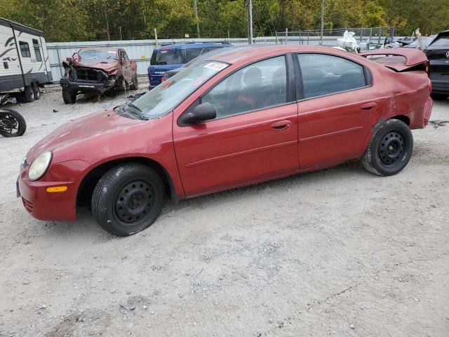 DODGE NEON SXT 2004 1b3es56c84d513897