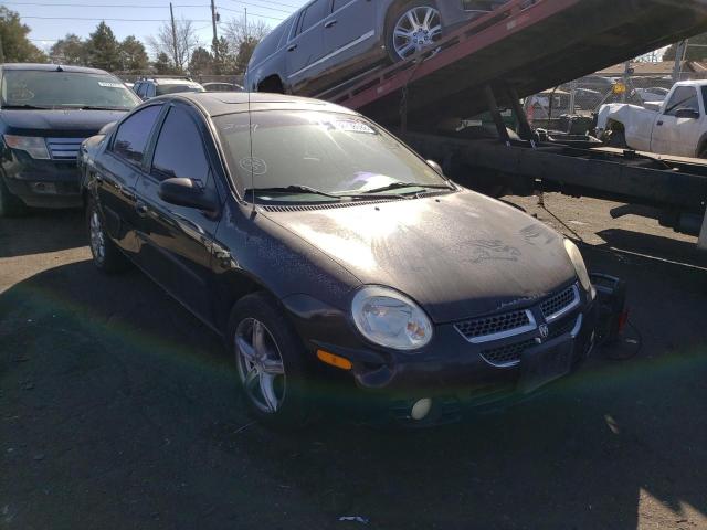 DODGE NEON SXT 2004 1b3es56c84d544292