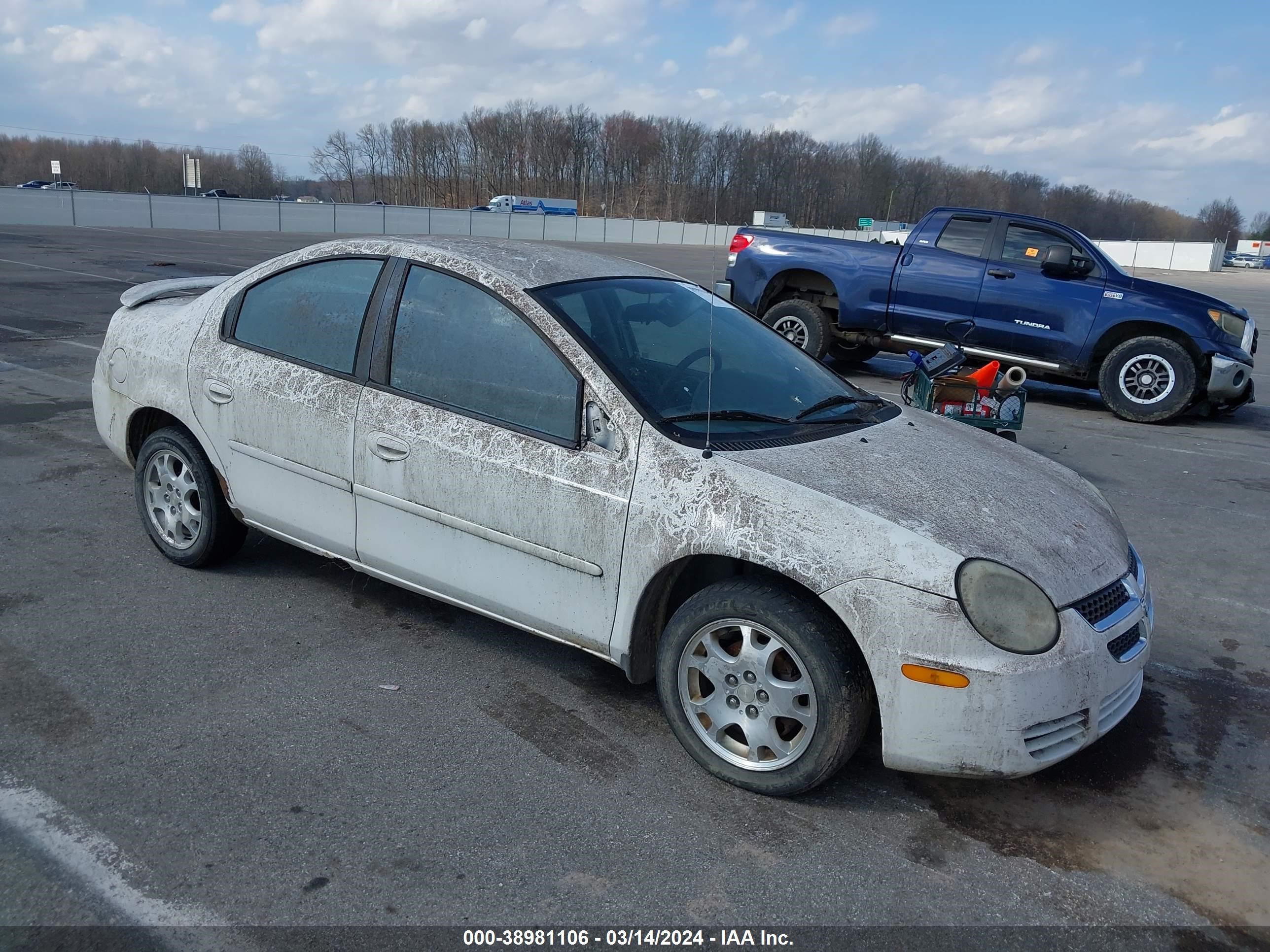 DODGE NEON 2004 1b3es56c84d552053