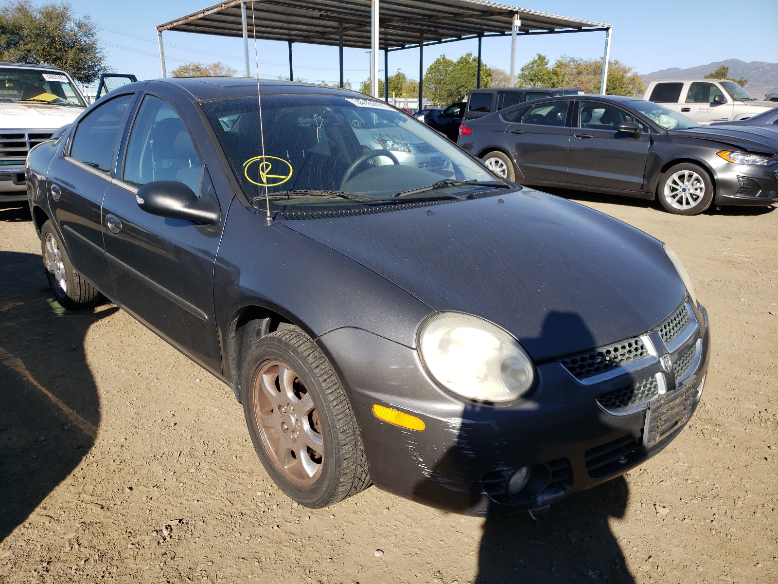 DODGE NEON 2004 1b3es56c84d576885