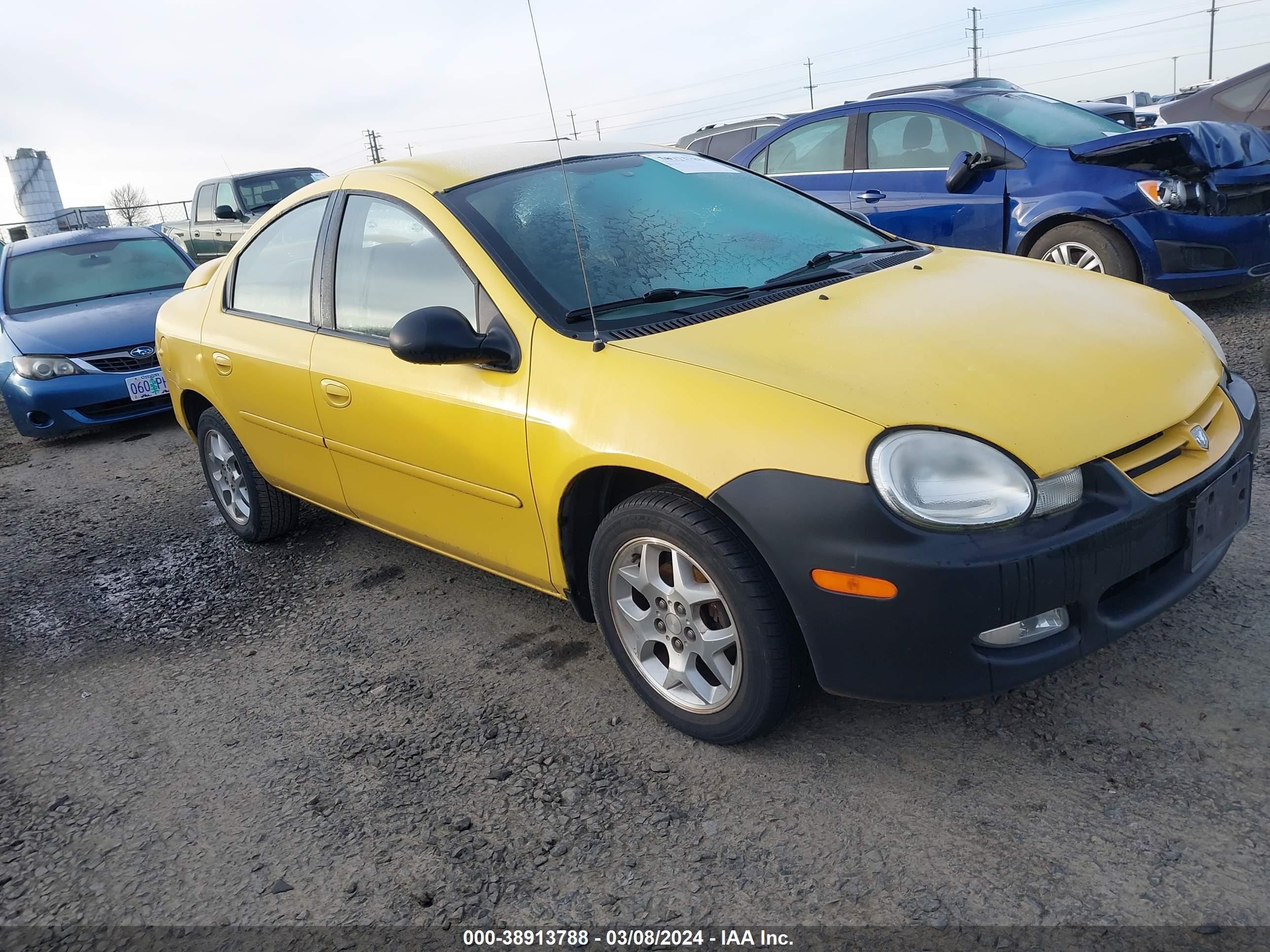 DODGE NEON 2002 1b3es56cx2d625565