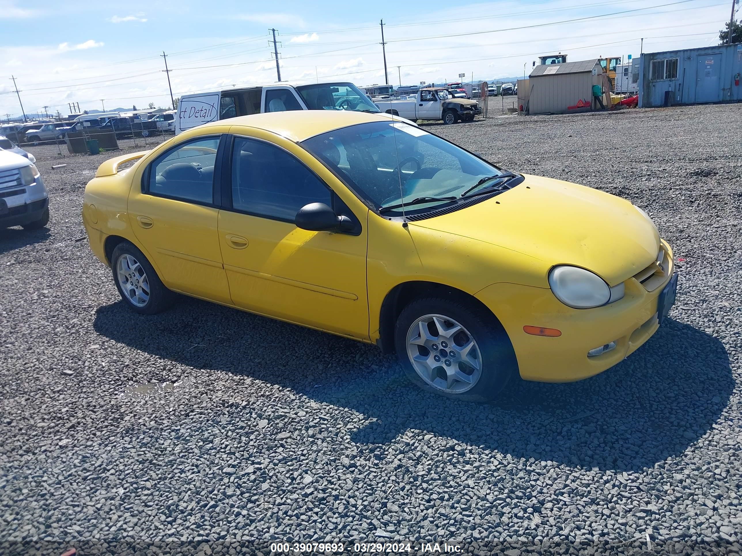 DODGE NEON 2002 1b3es56cx2d630961