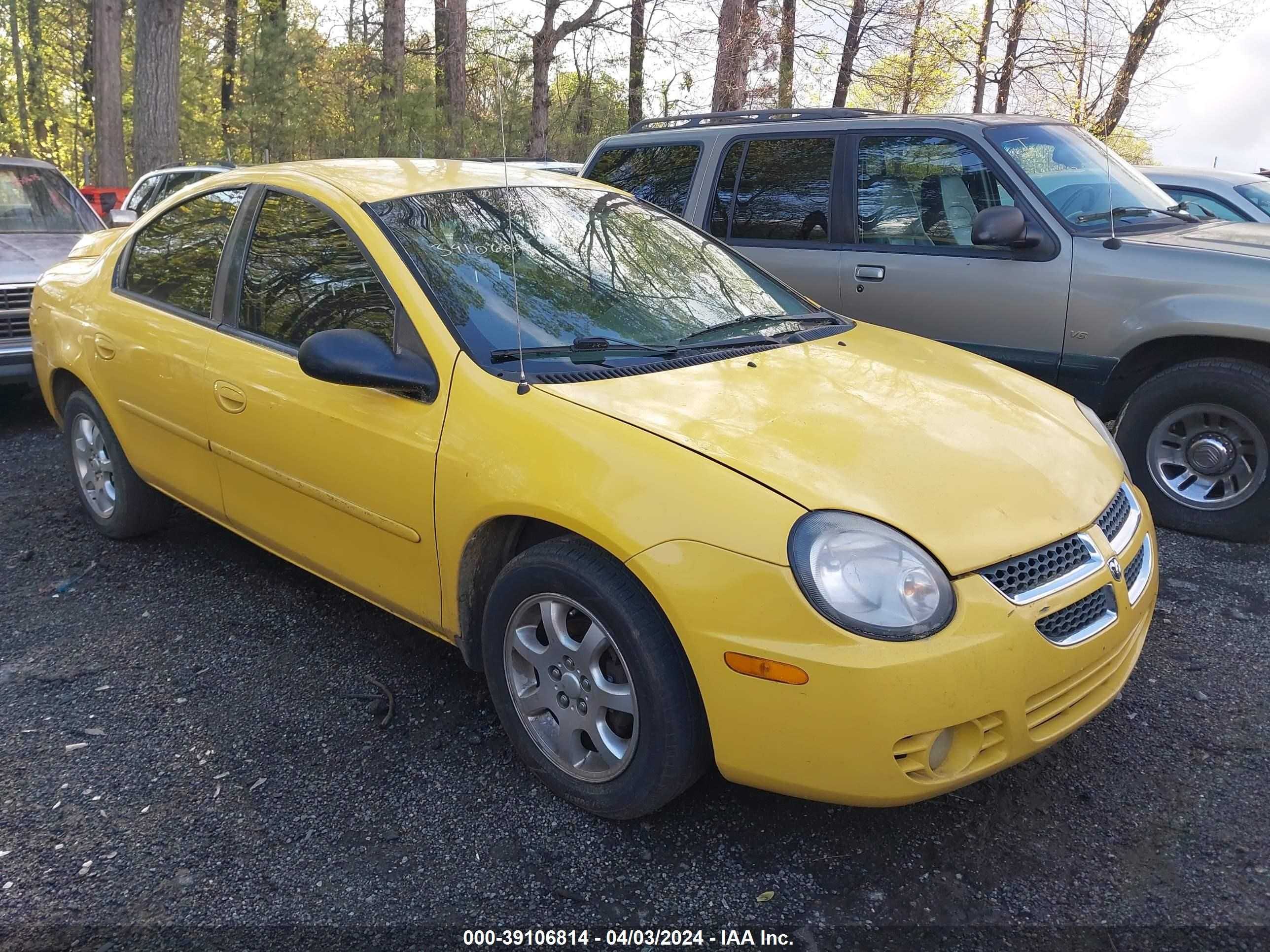 DODGE NEON 2003 1b3es56cx3d201451